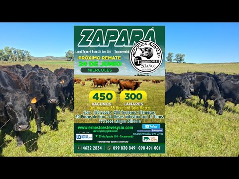 Remata Ernesto Esteves y Cia - Local Zapará Tacuarembó- 24 de Junio de 2026