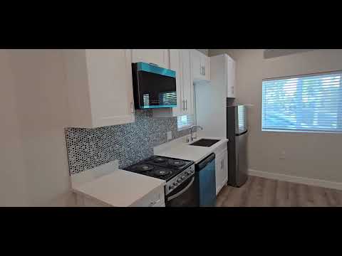 1462 Shenandoah, LLC - Video 2 of 2