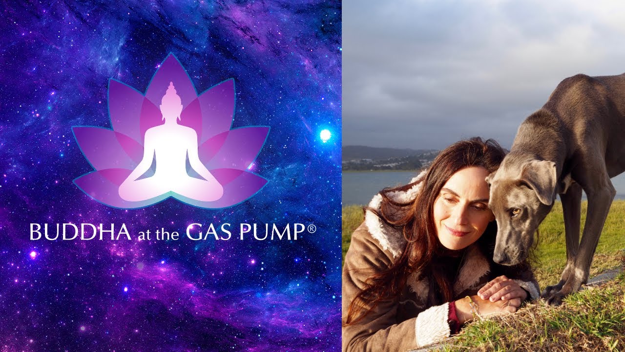 Anna Breytenbach - Buddha at the Gas Pump Interview