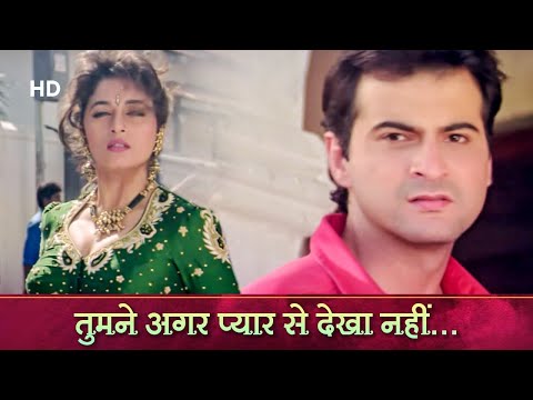 Tumne Agar Pyaar Se (तुमने अगर प्यार से ) - Raja - Madhuri Dixit - Sanjay Kapoor - Romantic Song