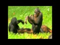 Oomph! - Bonobo (Video) 