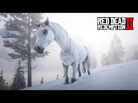 O CAVALO DOS SONHOS - Domando o PURO-SANGUE-BRANCO - Red Dead Redemption 2