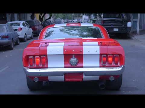 Alejandro HERNÁNDEZ CADENGO // We Are Not Die (2020)