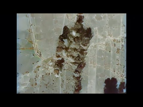 B-24 and P-47 Bomb Burma Mandalay Campaign Ledo Road Ramree Island (1945) (Colorized, HD)