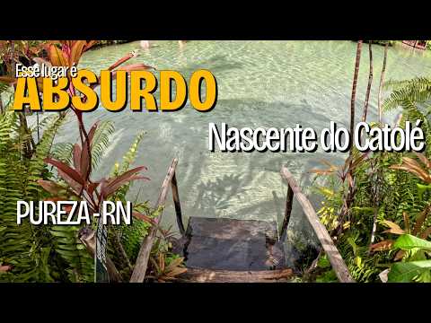 Nascente do Catolé - Shui Brasil - Pureza - RN