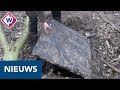 Mysterieus ondergronds hol ontdekt in Noordwijkse bos - OMROEP WEST
