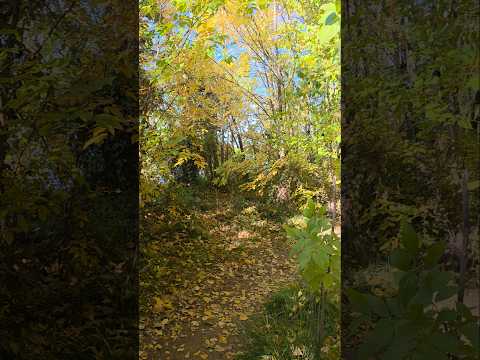 "EL TÚNEL MÁGICO: Un paraíso escondido en Plottier (Río Limay) #sintiendorutas #vanlife