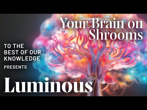 Luminous: Your Brain on Shrooms