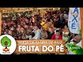Roda De Samba De Raíz Fruta Do Pé 8 Anos Ao Vivo