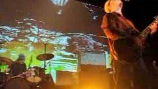 The Bees - These are the ghosts