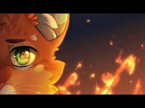 🤧What if firestar died early..?🤧 /edit/ #edit #warriorcats #shorts