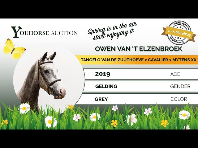 Owen van ‘t Elzenbroek