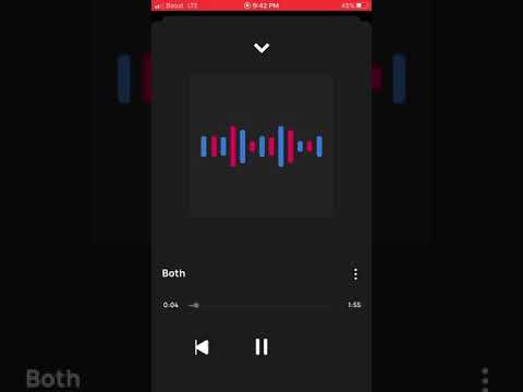 both- big gungito solo