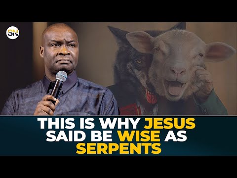 WHY JESUS SAID BE WISE AS SERPENTS || APOSTLE JOSHUA SELMAN