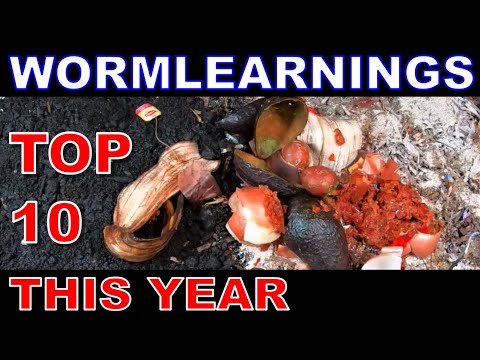 Top 9.5 Things Make a BETTER Worm Farmer