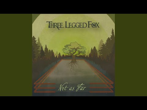Slow Down - Three Legged Fox
