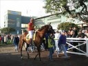Santa Anita, Hollywood Park, Del Mar 2005-2006 racing season
