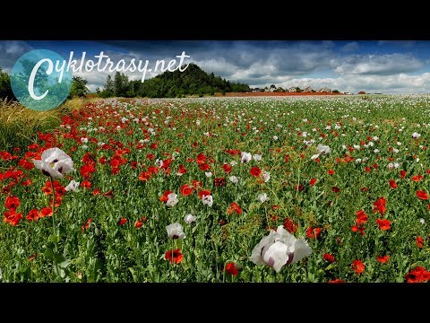 Cycle Trails 016 – Křivoklát Highlands