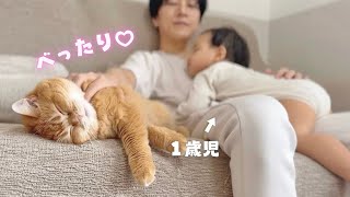 Brother Cat Overjoyed Getting Treats from Baby Brother thumbnail