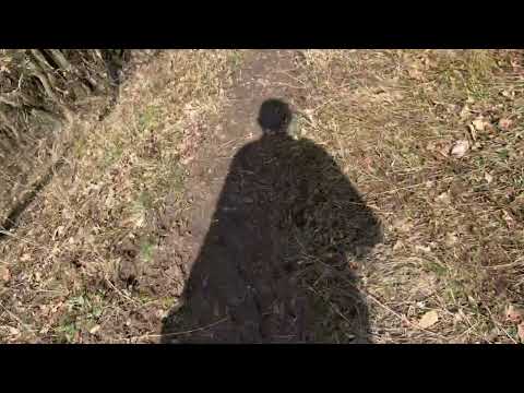 Szamárhegy - vár állott?