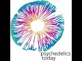 Shannon Clare Petitt MAPS Zendo And An Update On MDMA S Status