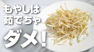 Don't boil bean sprouts! What did we actually find out? How to make them delicious?