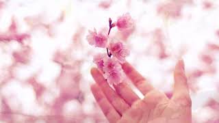 Cosmic Wave (Kitaro).