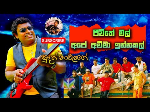 Jeewithe Mal Ape Amma Innakal | Sudath Nawalage | Neel With Sunflower
