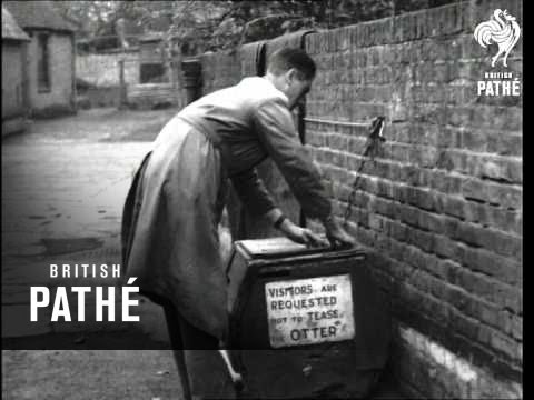 Water Otter Issue Title Is Abbey Days (1937)