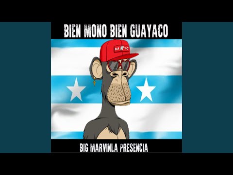 BIEN MONO BIEN GUAYACO