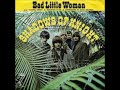 Shadows of Knight-Bad Little Woman- Stereo Single Version