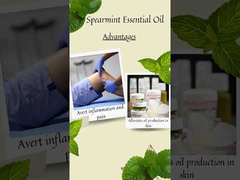 Spearmint Essential Oil