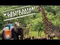 WILDLIFE SAFARI BOGOR NEAR JAKARTA INDONESIA TRIP EXPLORING AND SEEING
WILD ANIMALS UP CLOSE!