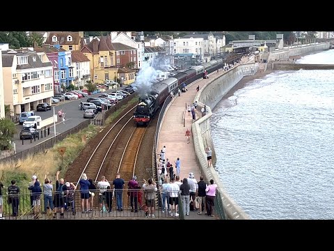The Royal Duchy - 45212 - Dawlish - 27/07/25