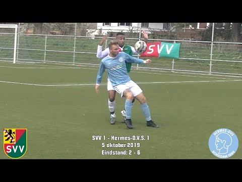 Samenvatting SVV 1 - Hermes-D.V.S.  1