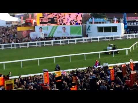 Quevega After Winning Her Sixth Consecutive Mares Hurdle At Cheltenham Festival.