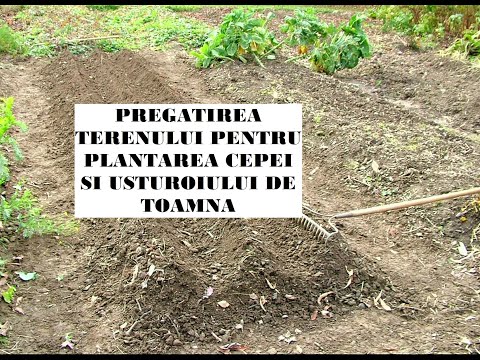 , title : 'Pregătirea terenului pentru plantarea cepei și usturoiului de toamnă'