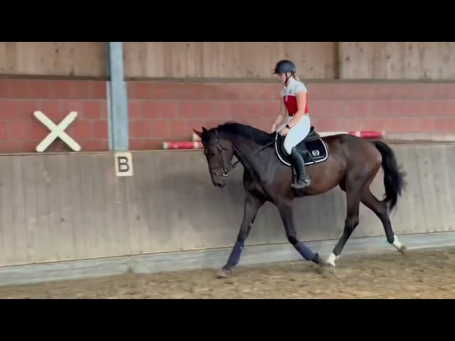 Kiss me Kosmac flatwork