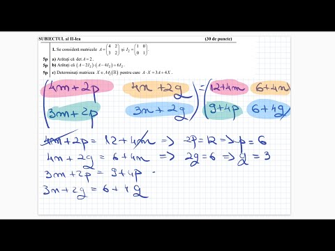 Bacalaureat 2021 - Tehnologic - Testul 6 - Teste antrenament - Clasa a 12-a