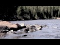 McGuire's Landing | a tribute to Pete Huttlinger