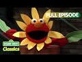 Elmo Pretends To Be A Flower Sesame Street Classics Full Episode