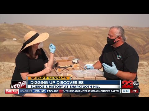 Science Sundays: Digging Up Discoveries