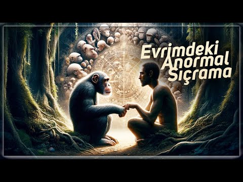 Is Evolution Natural, or Has Something Accelerated Us?