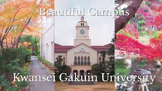 美しすぎる 紅葉のキャンパス 関西学院大学 上ヶ原 思い出の場所