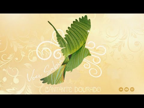 Voei Sabiá | Cantante Dourado (Áudio Oficial)