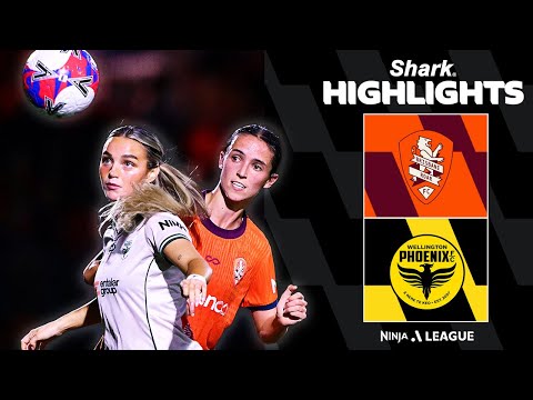 bg-highlight