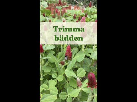 Trimma bädden - Trädgårdshacks med GardenR