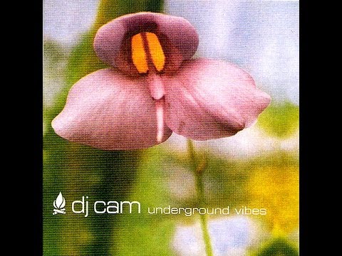 dj cam - underground vibes (disco completo)