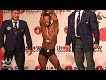 SFBF Show of Strength 2018 - Men's Classic Physique (Overall)