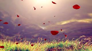 Warning Nahi Dunga-(Blank 2019)-Amit Mishra,Enbee,mp4 song